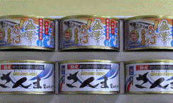 環境に優しい商品