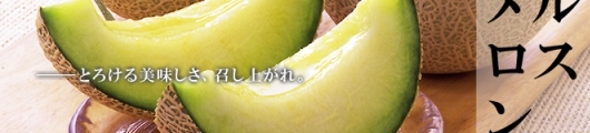マスクメロン通販