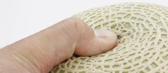 マスクメロン通販